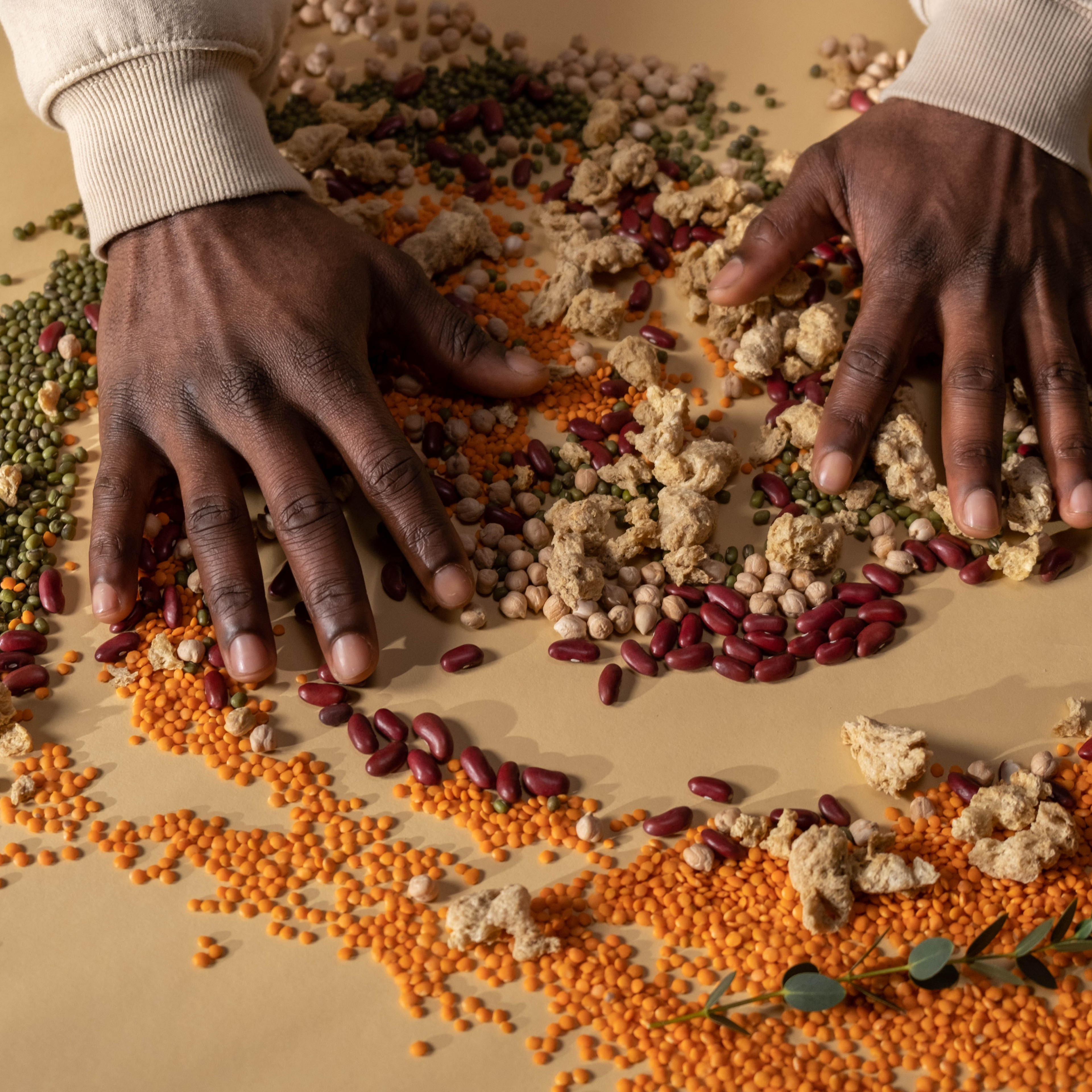 Veagn snacks Kaufen Deutschland